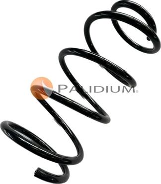 Ashuki PAL10-0060 - Arc spiral aaoparts.ro