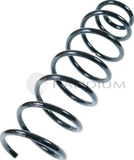 Ashuki PAL10-1007 - Arc spiral aaoparts.ro