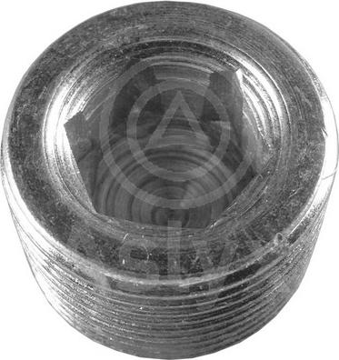 Aslyx AS-100676 - Surub de golire,baia de ulei aaoparts.ro