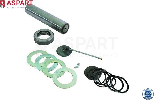 ASPART 1RKI1041 - Set reparatie, pivot aaoparts.ro