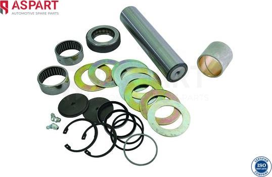 ASPART 1RKI1067 - Set reparatie, pivot aaoparts.ro