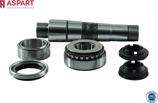 ASPART 1RKI1028 - Set reparatie, pivot aaoparts.ro
