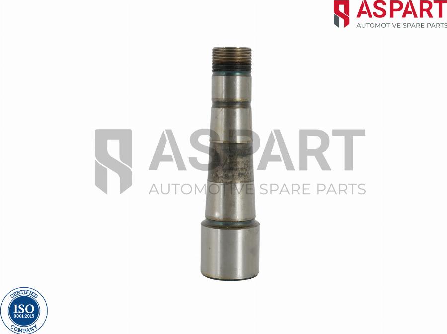 ASPART 1RKI1077 - Set reparatie, pivot aaoparts.ro