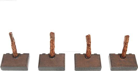 AS-PL BSX190-191 - Perie, electromotor aaoparts.ro