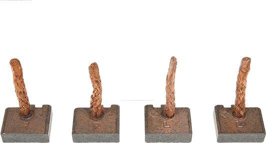 AS-PL SB0033P - Perie, electromotor aaoparts.ro