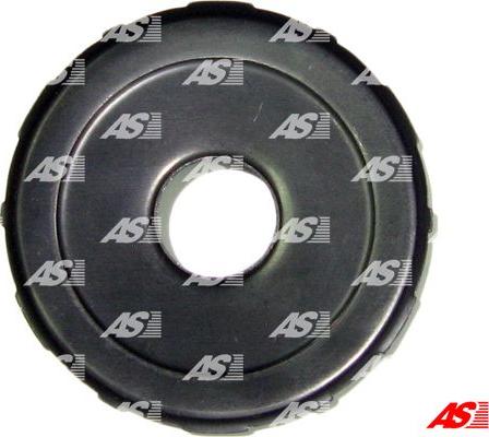 AS-PL SG3019 - Chit reparatie, demaror aaoparts.ro