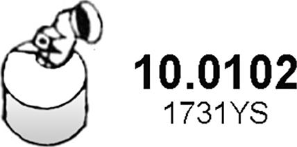 ASSO 10.0102 - Catalizator aaoparts.ro