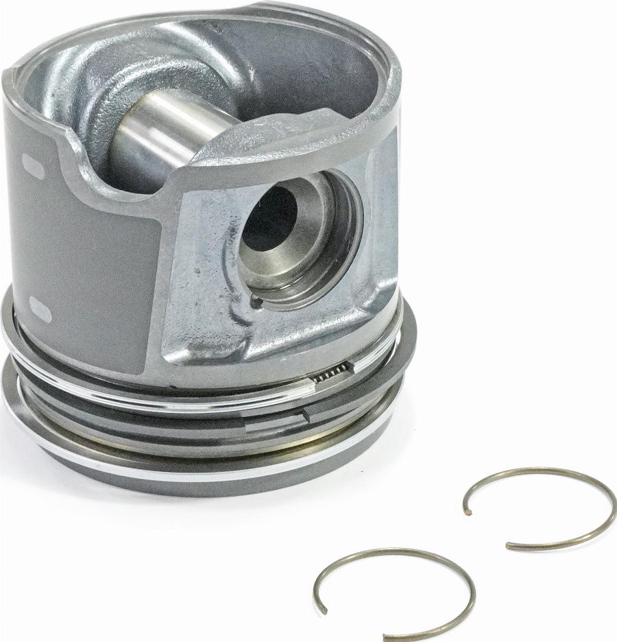 ATMMotoren 10015350 - Piston aaoparts.ro