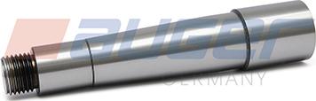 Auger 59154 - Pivot aaoparts.ro