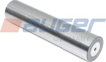 Auger 59139 - Pivot aaoparts.ro