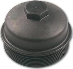 Auger 53932 - Capac, filtru combustibil aaoparts.ro