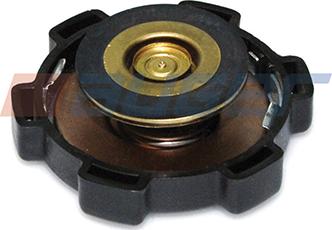 Auger 101623 - Buson,vas expansiune aaoparts.ro