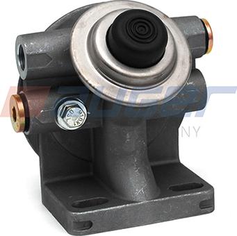 Auger 80250 - Capac, filtru combustibil aaoparts.ro