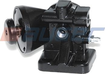 Auger 71613 - Pompa, combustibil aaoparts.ro