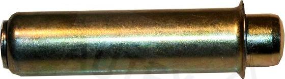 Autex 654702 - Amortizor vibratii, curea distributie aaoparts.ro