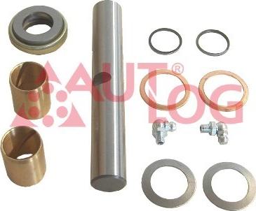 Autlog FT1755 - Pivot aaoparts.ro