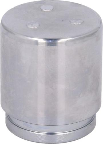 AUTOFREN SEINSA D025597 - Piston, etrier frana aaoparts.ro