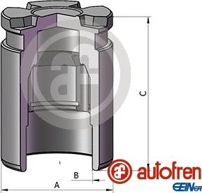 AUTOFREN SEINSA D025698 - Piston, etrier frana aaoparts.ro