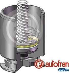 AUTOFREN SEINSA D02554LK - Piston, etrier frana aaoparts.ro