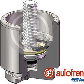 AUTOFREN SEINSA D025641LK - Piston, etrier frana aaoparts.ro