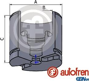 AUTOFREN SEINSA D025256 - Piston, etrier frana aaoparts.ro