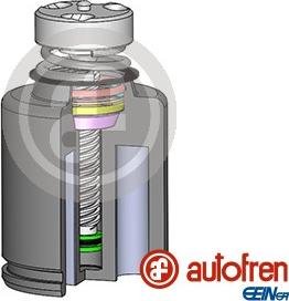 AUTOFREN SEINSA D025234LK - Piston, etrier frana aaoparts.ro