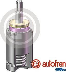 AUTOFREN SEINSA D025740K - Piston, etrier frana aaoparts.ro