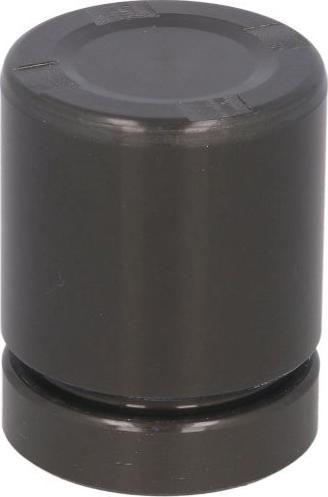 AUTOFREN SEINSA D025728 - Piston, etrier frana aaoparts.ro