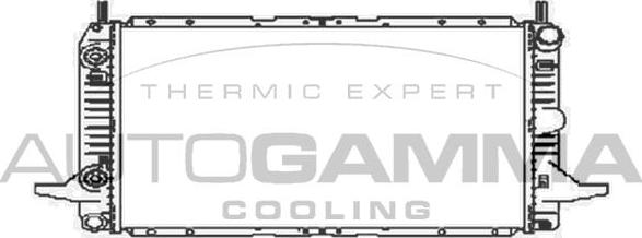 Autogamma 104169 - Radiator, racire motor aaoparts.ro