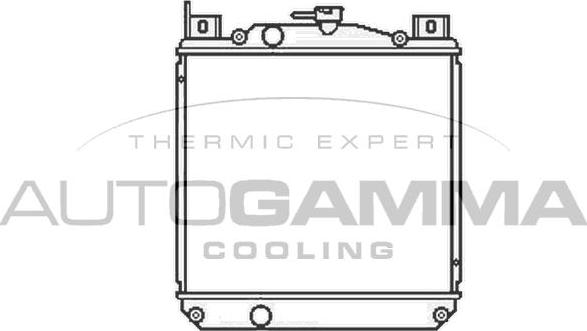 Autogamma 104160 - Radiator, racire motor aaoparts.ro