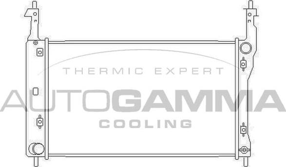 Autogamma 104251 - Radiator, racire motor aaoparts.ro