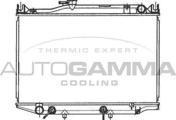 Autogamma 100995 - Radiator, racire motor aaoparts.ro