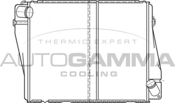 Autogamma 100081 - Radiator, racire motor aaoparts.ro