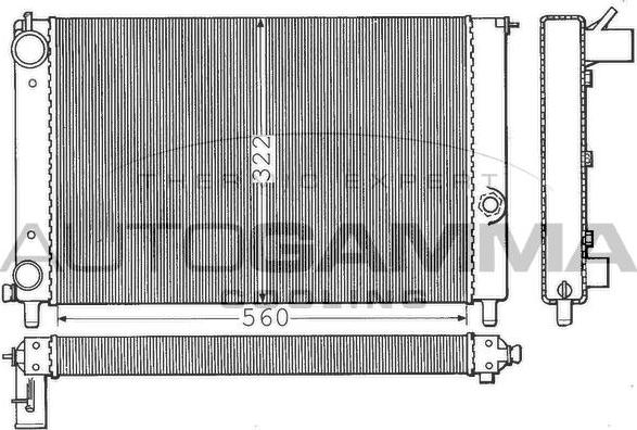 Autogamma 100251 - Radiator, racire motor aaoparts.ro