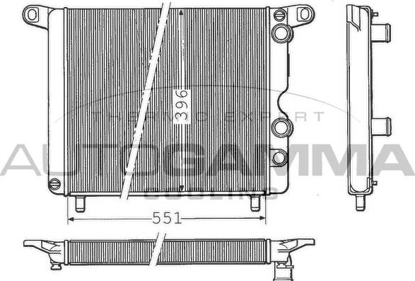 Autogamma 100253 - Radiator, racire motor aaoparts.ro