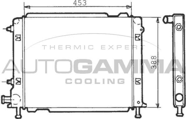 Autogamma 100273 - Radiator, racire motor aaoparts.ro