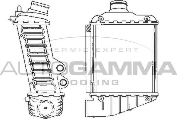 Autogamma 101964 - Intercooler, compresor aaoparts.ro
