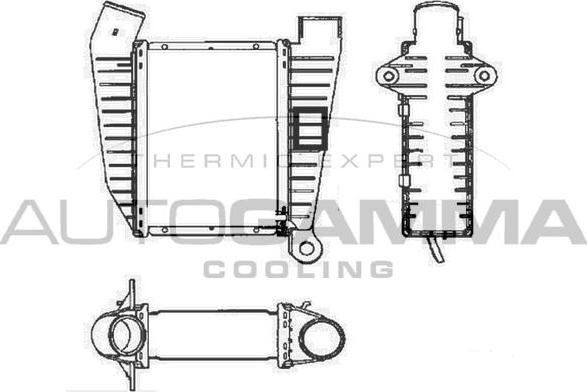 Autogamma 101937 - Intercooler, compresor aaoparts.ro
