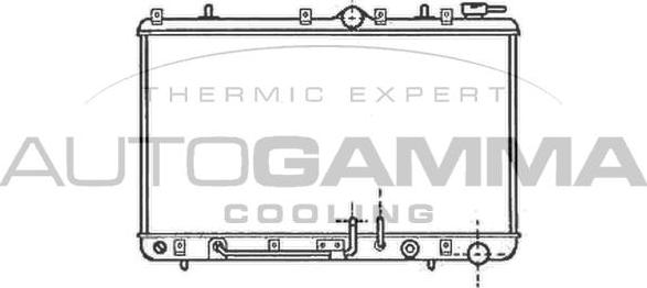 Autogamma 101204 - Radiator, racire motor aaoparts.ro