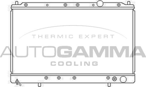 Autogamma 103162 - Radiator, racire motor aaoparts.ro