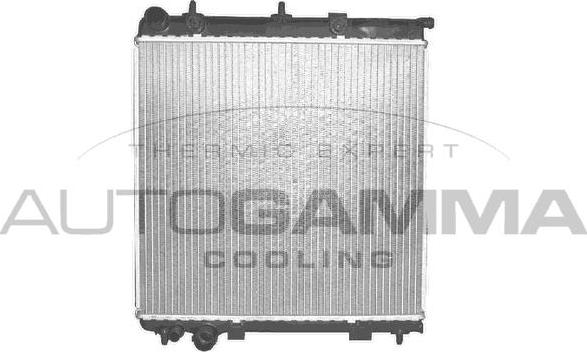 Autogamma 102989 - Radiator, racire motor aaoparts.ro