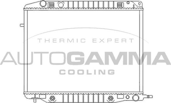 Autogamma 102246 - Radiator, racire motor aaoparts.ro