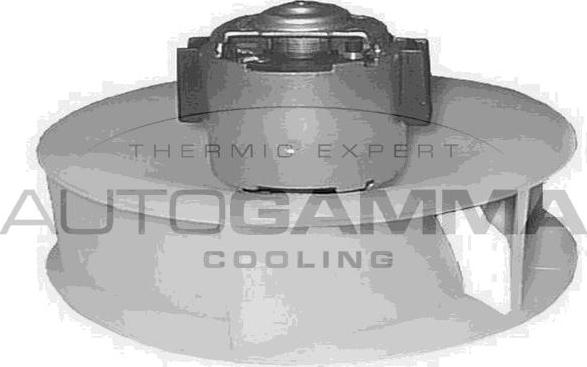 Autogamma GA20150 - Ventilator, habitaclu aaoparts.ro