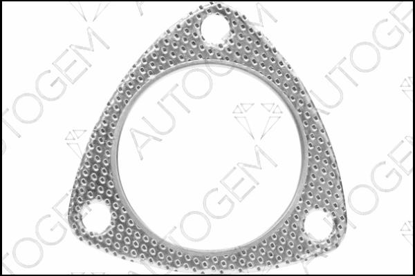 AUTOGEM CEG9509 - Garnitura, racord evacuare aaoparts.ro
