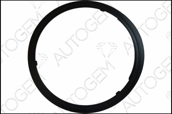 AUTOGEM CEG9572 - Garnitura, racord evacuare aaoparts.ro