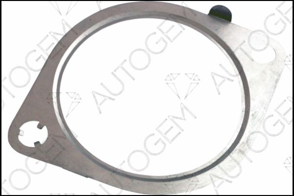 AUTOGEM CEG9308 - Garnitura, racord evacuare aaoparts.ro