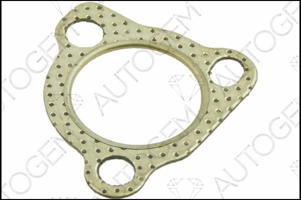 AUTOGEM CEG430 - Etansare, intrare turbina (compresor) aaoparts.ro