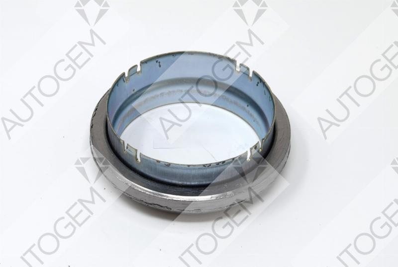 AUTOGEM CEG60226 - Garnitura, racord evacuare aaoparts.ro