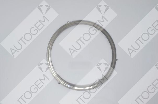 AUTOGEM CEG60228 - Garnitura, racord evacuare aaoparts.ro