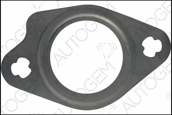 AUTOGEM CEG6803 - Garnitura, ventil AGR aaoparts.ro